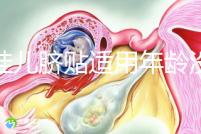 丁桂兒臍貼適用年齡沒明確規定,但初次使用必須滿月