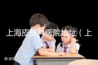 上海皮膚科醫(yī)院地址(上海最有名的皮膚科醫(yī)院是哪家)