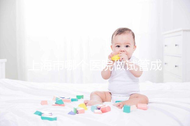上海市哪個(gè)醫(yī)院做試管成功率高最好的?