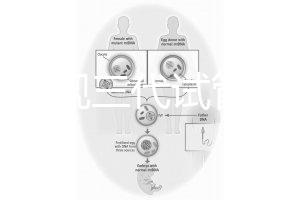 中國正規三代試管嬰兒機構名單，2025生殖機構排名參考