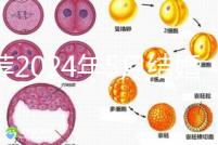 推薦2024年5月結婚的良辰吉日,最吉利的要數…