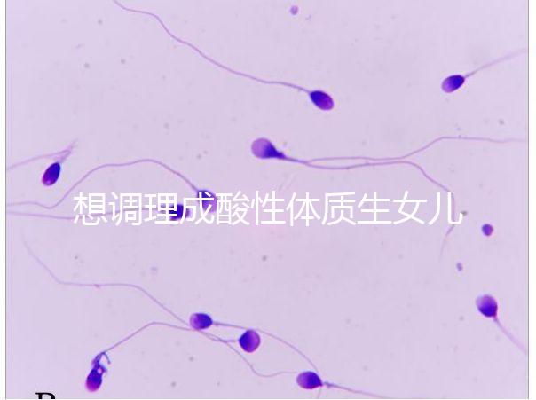 想調理成酸性體質生女兒看過來，這3大食譜科學又安全