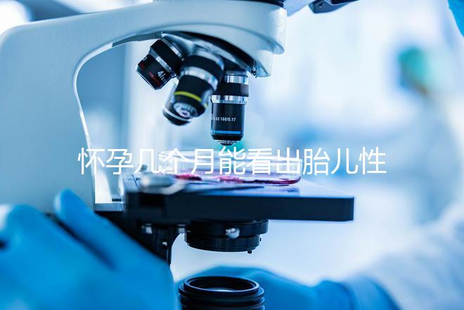 懷孕幾個月能看出胎兒性別?不清楚的姐妹們都看過來!