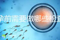 懷孕前需要做哪些檢查？