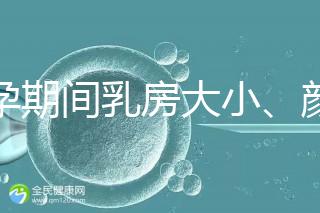 懷孕期間乳房大小、顏色變化有區別，男寶女寶這樣看