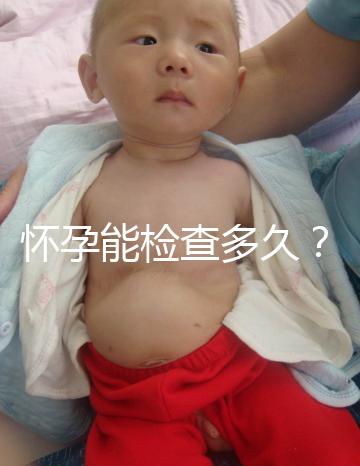 懷孕能檢查多久？