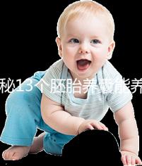 揭秘13個胚胎養(yǎng)囊能養(yǎng)成幾個，別以為6個著床幾率就高