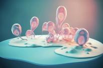 成都早教中心費用表來襲，2024年哪個便宜？