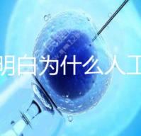 我不明白為什么人工授精收藏這么貴答案是多少？