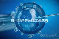 杭州邵逸夫醫院試管成功率高達70%?助孕專家講述其中奧秘
