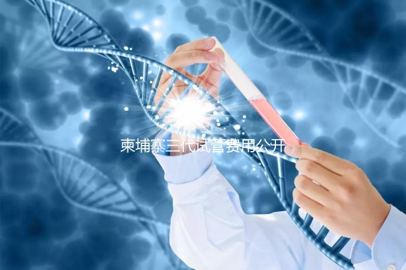 柬埔寨三代試管費用公開，不同項目價格不同