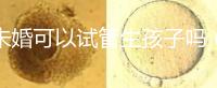 未婚可以試管生孩子嗎（未婚可以試管生孩子嗎 法律）