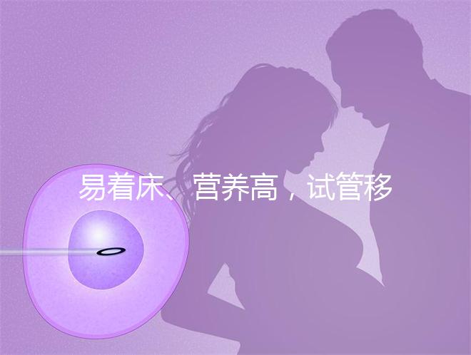 易著床、營(yíng)養(yǎng)高，試管移植后吃獼猴桃的好處你不知道！