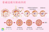 昆明盤龍區(qū)落戶親子鑒定在哪里看這,2024流程、費用都有
