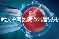 武漢中南醫(yī)院做試管嬰兒需要多少錢:2025年這些試管收費(fèi)有變動