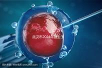 武漢市2024年獨(dú)生子女補(bǔ)貼政策已經(jīng)實(shí)施，領(lǐng)取流程更加規(guī)范