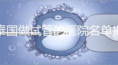 泰國做試管的醫(yī)院名單揭曉，一覽頂尖機(jī)構(gòu)，輕松幫你選擇！