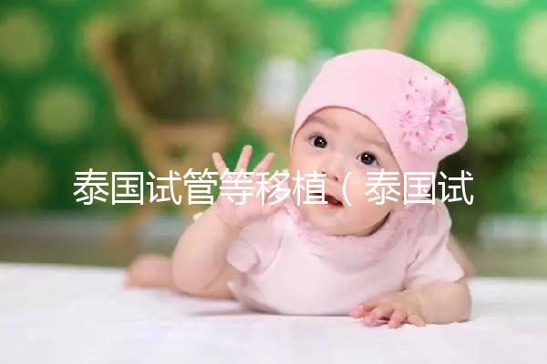 泰國試管等移植（泰國試管移植成功案例）