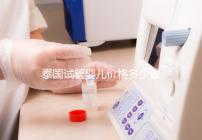 泰國試管嬰兒價格多少錢，2025年費用詳情解讀