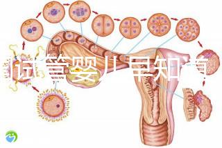 泰國(guó)試管嬰兒早知道，威它尼醫(yī)院Vejthani圖文攻略