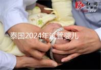 泰國2024年試管嬰兒攻略索引：證書，結婚證是硬條件