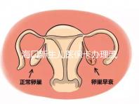 ?？谛律鷥横t(yī)?？ㄞk理流程更新，附2024秀英、龍華區(qū)手續(xù)