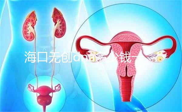 ?？跓o創(chuàng)dna多少錢一次一文說清，秀英、瓊山免費(fèi)條件整理