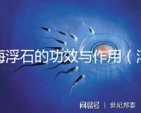 海浮石的功效與作用（浮石為何叫癌癥之王）