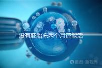 沒有胚胎凍兩個月還能活著嗎？60s會告訴你怎么樣？