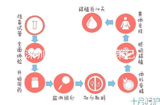 深圳最新獨(dú)生子女政策已出爐，羅湖、南山區(qū)補(bǔ)貼金均有提高