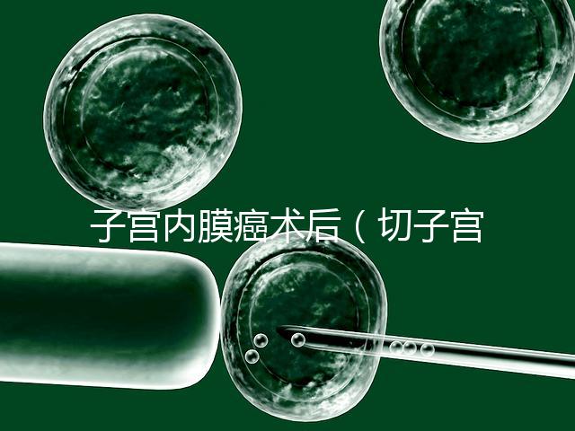 子宮內膜癌術后（切子宮手術需要多少錢）