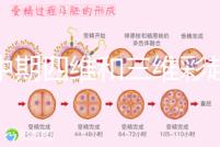 孕中期四維和三維彩超檢查區別真不小,看完便知誰更好