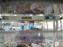 孕早期和孕晚期胎停前其實都有暗示信號，身體不會騙人