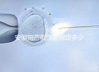 安徽陪產(chǎn)假國(guó)家規(guī)定多少天更新,2024淮南何時(shí)開(kāi)始執(zhí)行戳