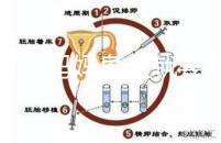 寶寶到媽媽身上就要吃解決方法來了，奶瓶作用大別忽略