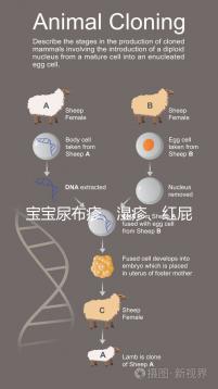 寶寶尿布疹、濕疹、紅屁股傻傻分不清?4點(diǎn)區(qū)別輕松診斷