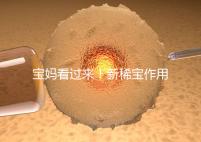 寶媽看過來！新稀寶作用及用法用量介紹