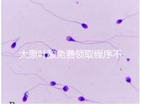 太原葉酸免費領取程序不難，@準媽媽們：小店區這里可領