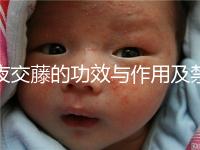 夜交藤的功效與作用及禁忌(合歡花夜交藤的功效與作用及禁忌)