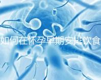 如何在懷孕早期安排飲食？