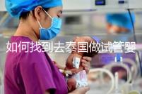 如何找到去泰國做試管嬰兒的本地翻譯？內(nèi)部搜索可靠的本地翻譯方法分析