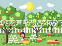 如何檢查自己是否懷孕？