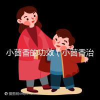 小茴香的功效(小茴香治什么病最好)