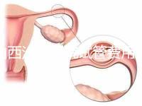 山西汾陽醫院試管費用清單公布，2024年生殖科助孕成功率公布