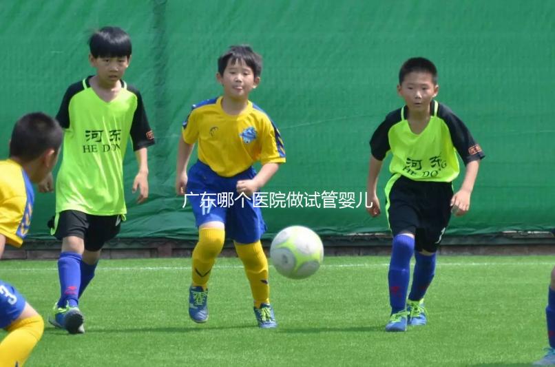 廣東哪個(gè)醫(yī)院做試管嬰兒成功率較高？