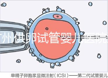 廣州供卵試管嬰兒醫院匯總，真實案例告訴你廣東哪家最好
