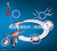 釀造釀酒現場（釀酒現場圖片）