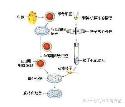 選對成功一半！來看看海南哪家醫院能做三代試管嬰兒