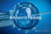 通草的副作用(通草最多能吃幾天)