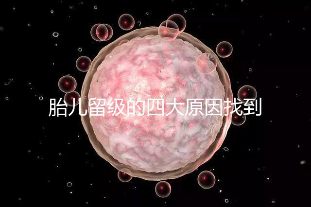 胎兒留級的四大原因找到了！多半和媽媽太懶不運動有關系